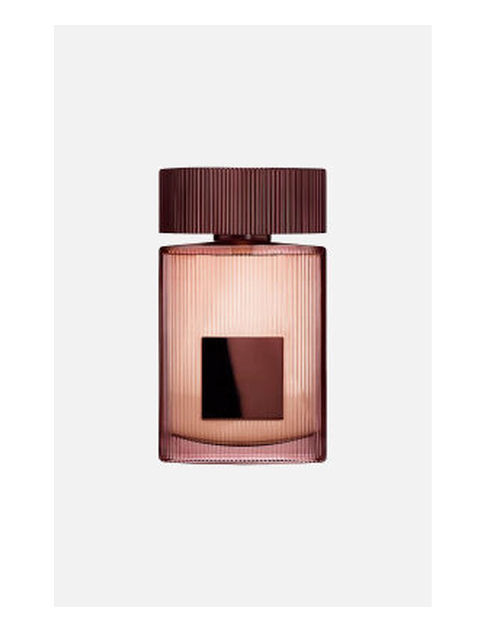 Tom Ford Café Rose 2023 — Type Formula