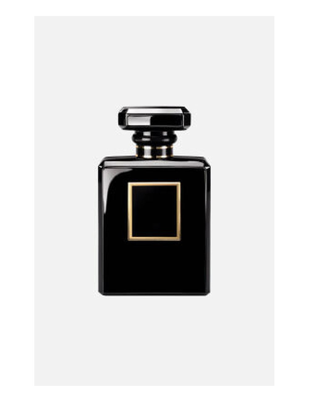 Chanel Coco Noir — Type Formula