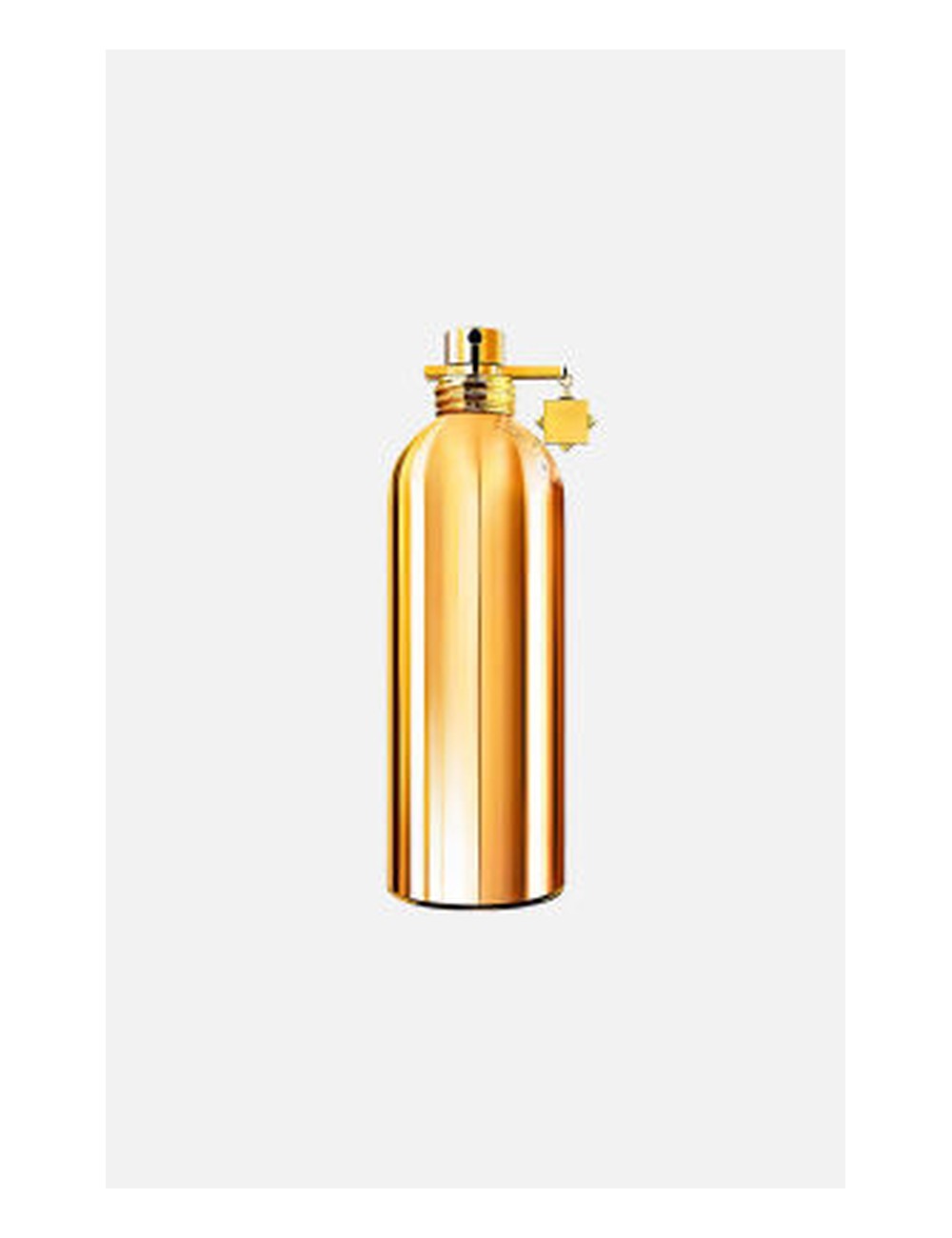 Montale Dark Aoud — Type Formula