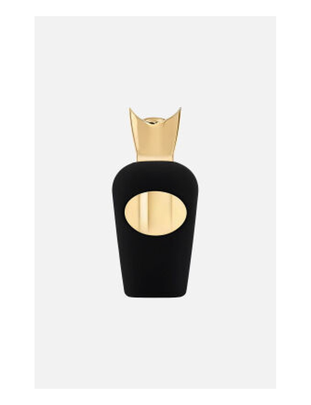 Xerjoff Erba Leather — Type Formula
