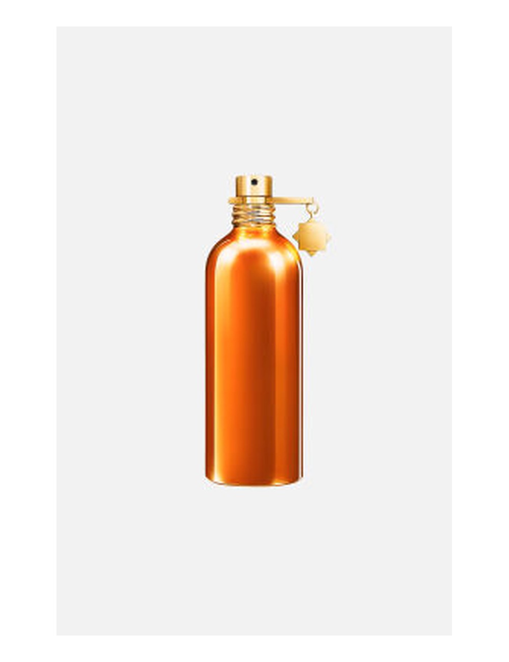 Fragrance World Honey Aoud — Type Formula