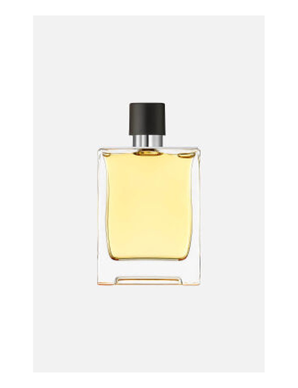 Hermès Terre Parfum — Type Formula