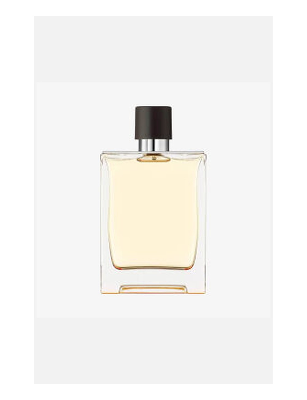 Hermès Terre — Type Formula