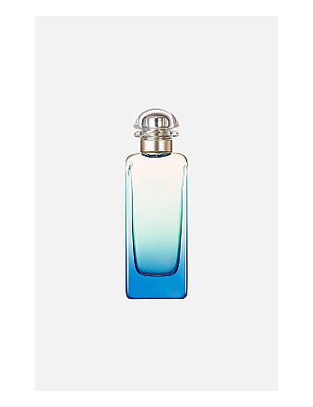 Hermes Un Jardin Apres La Mousson — Type Formula